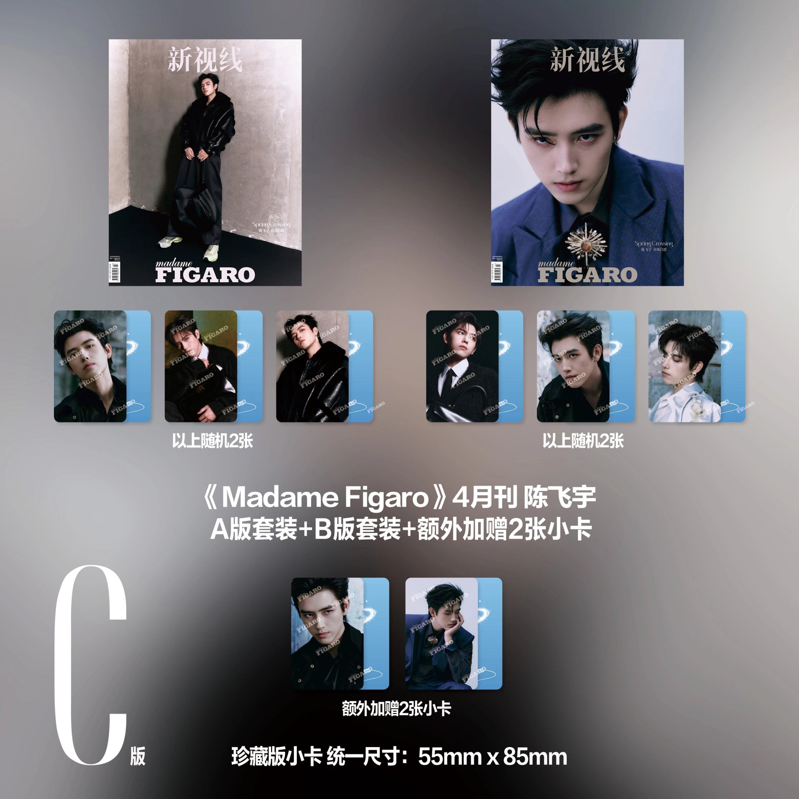 Madame Figaro China (April 2026 Issue) – Chen Feiyu Cover